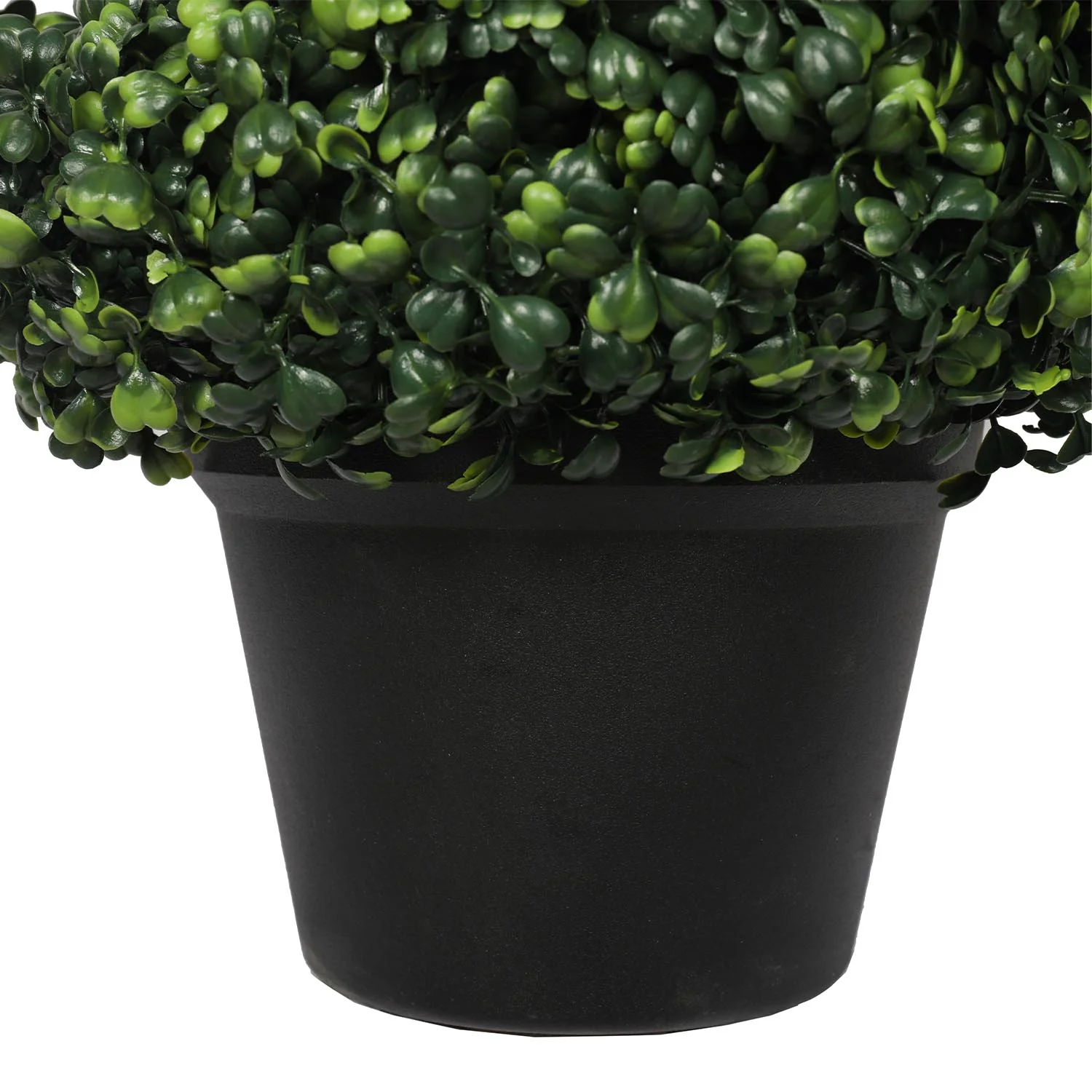 Outdoor boxwood spiral tree - Image 3