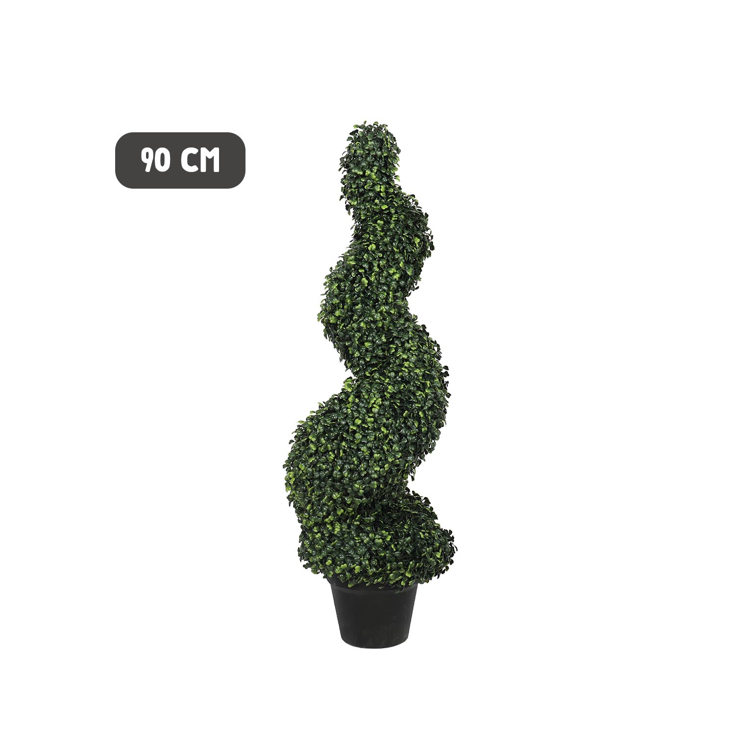 Outdoor boxwood spiral tree - Image 4