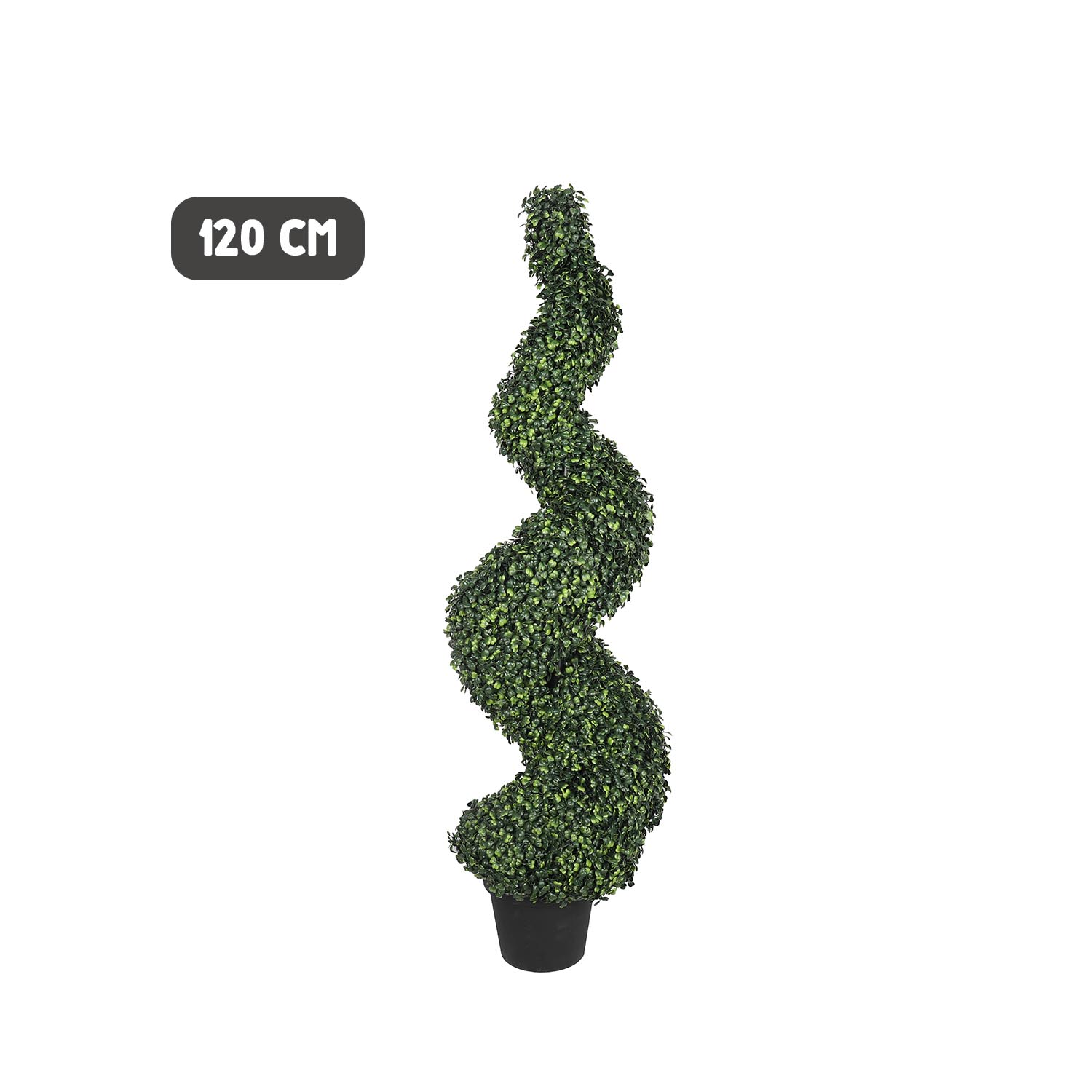Outdoor boxwood spiral tree - Image 5