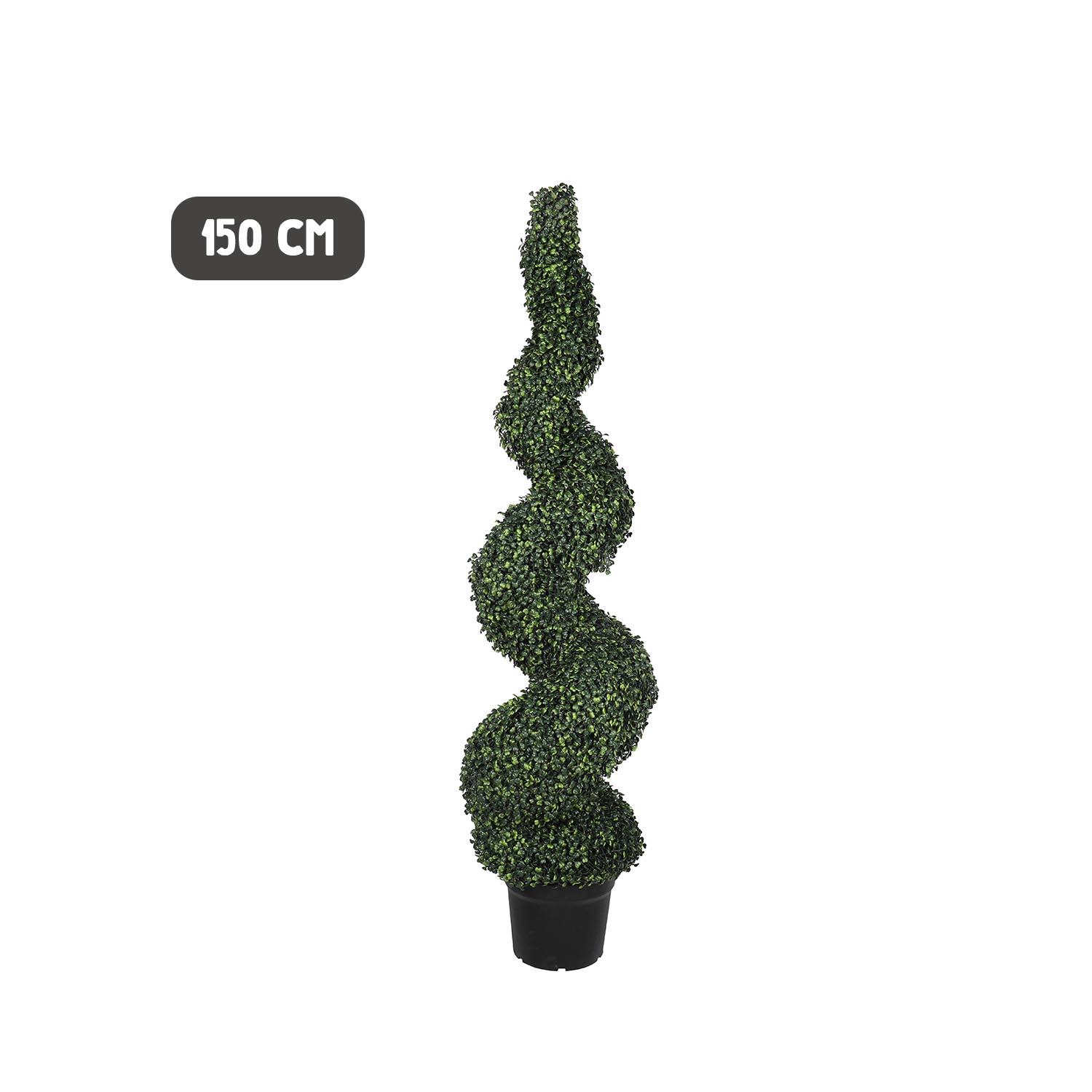 Outdoor boxwood spiral tree - Image 6