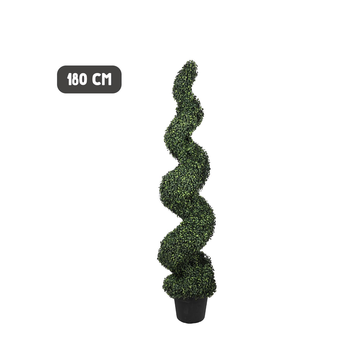 Outdoor boxwood spiral tree - Image 7