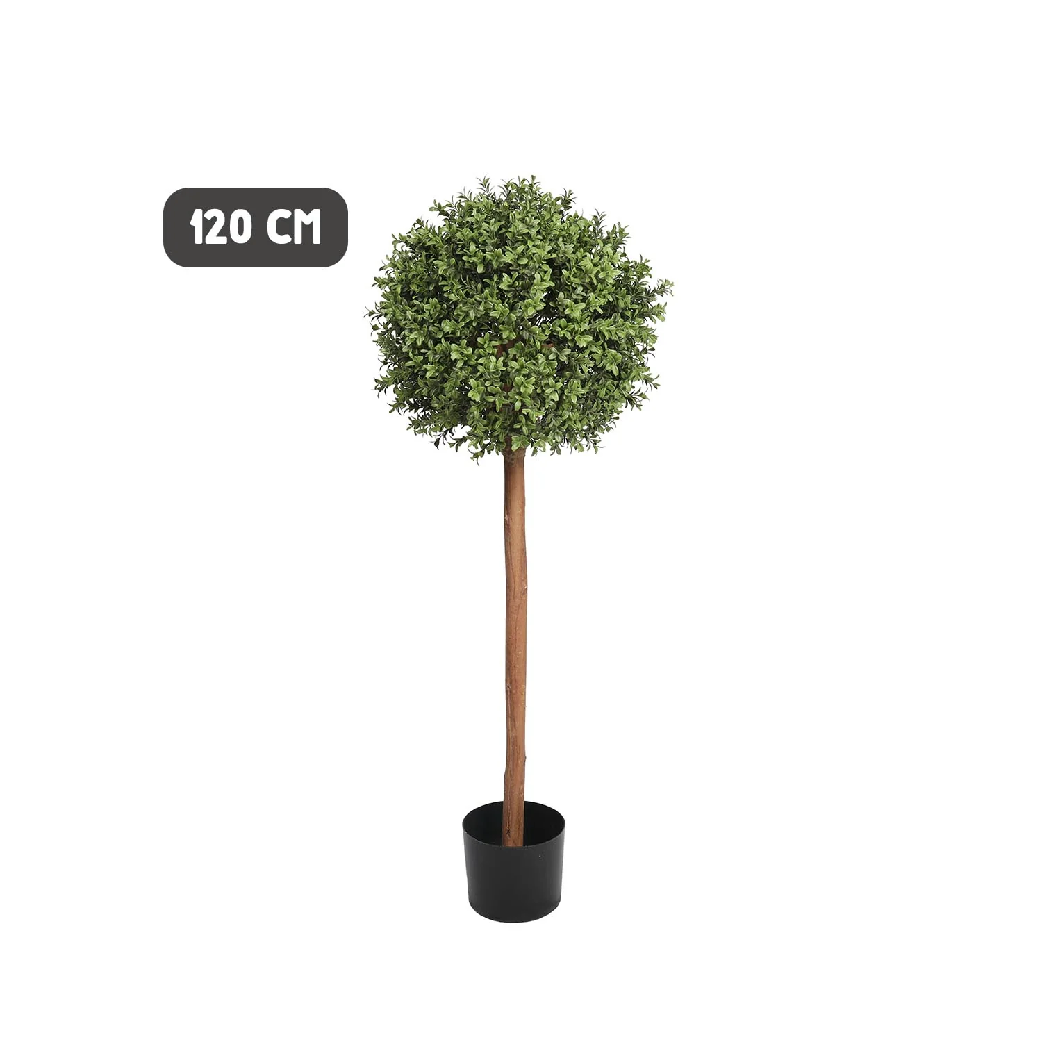 Outdoor buxus ball tree - long trunk - Image 4