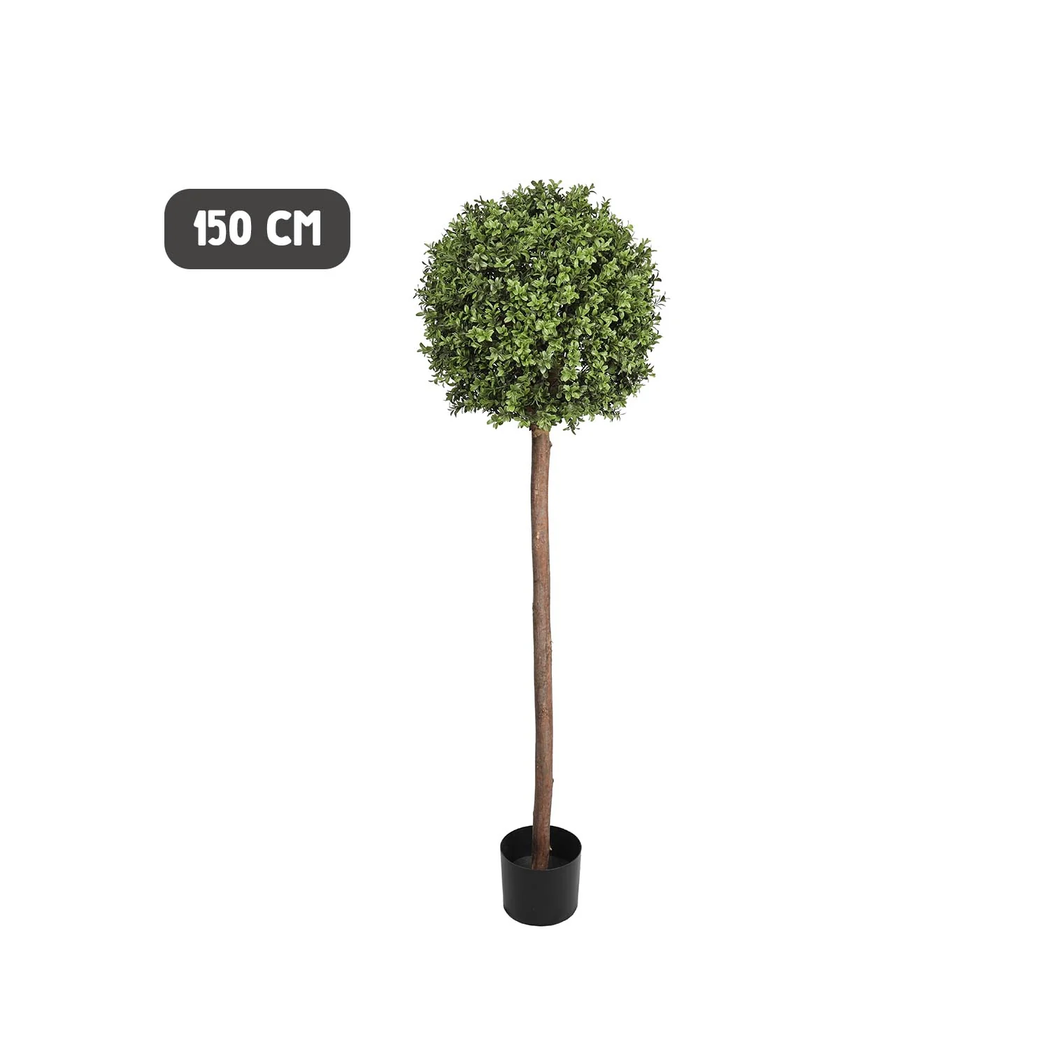Outdoor buxus ball tree - long trunk - Image 5