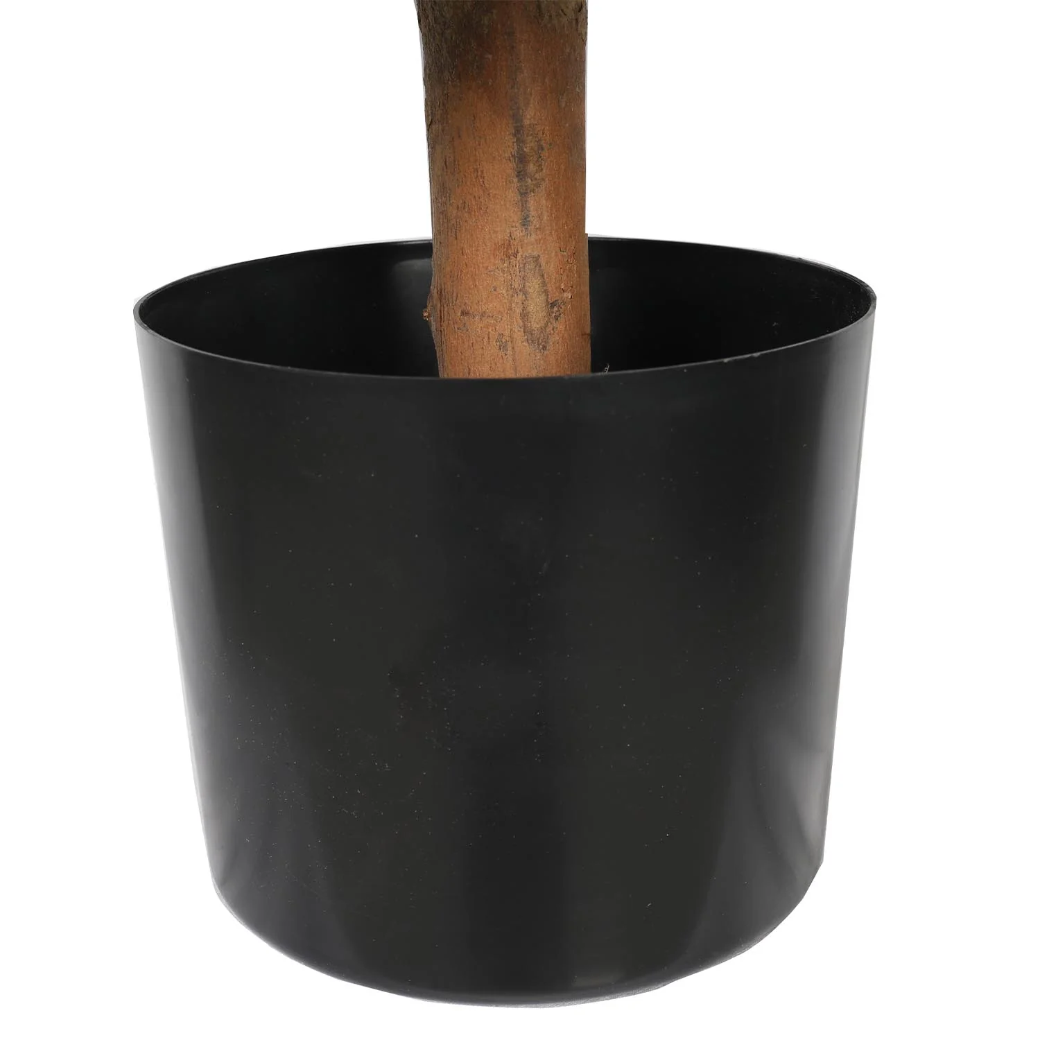 Outdoor buxus ball tree - short trunk - Image 3