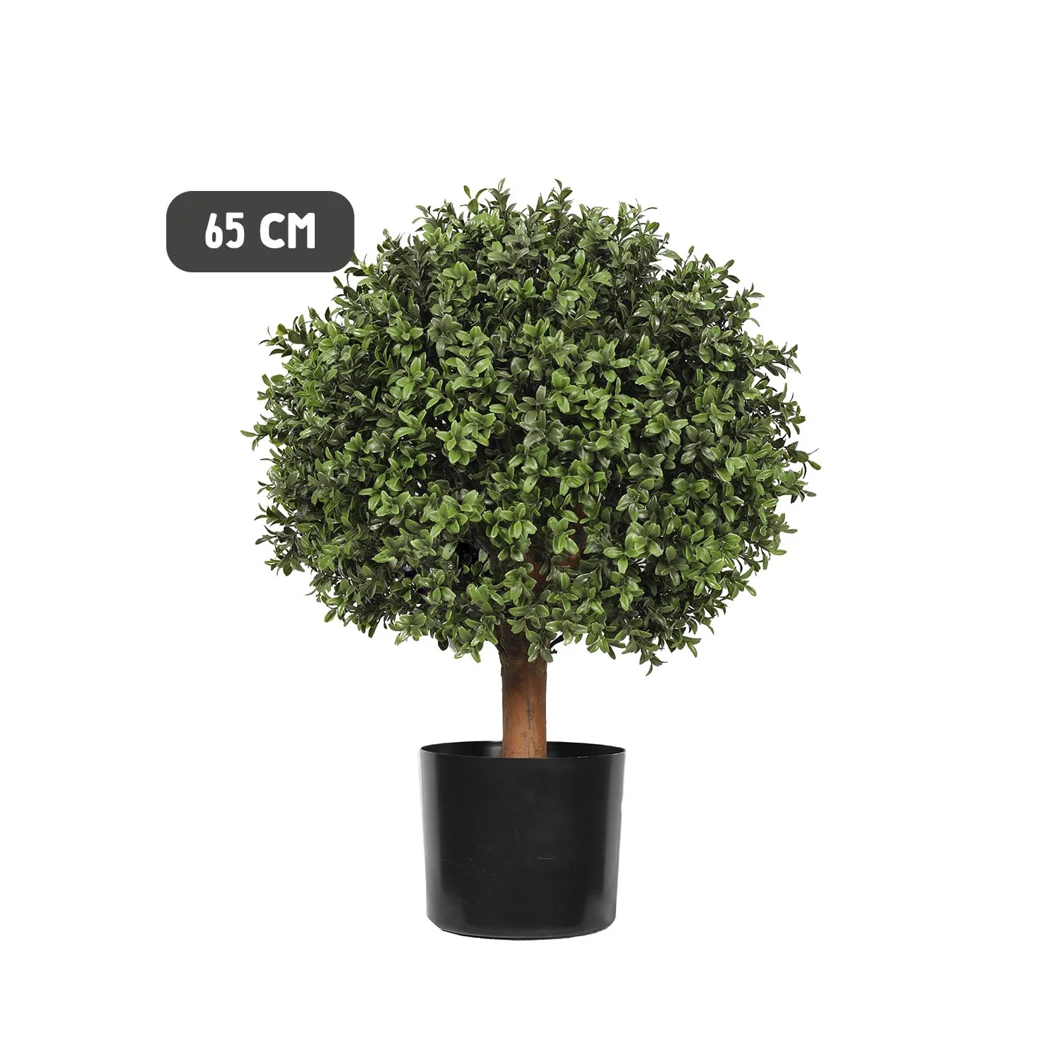 Outdoor buxus ball tree - short trunk - Image 4
