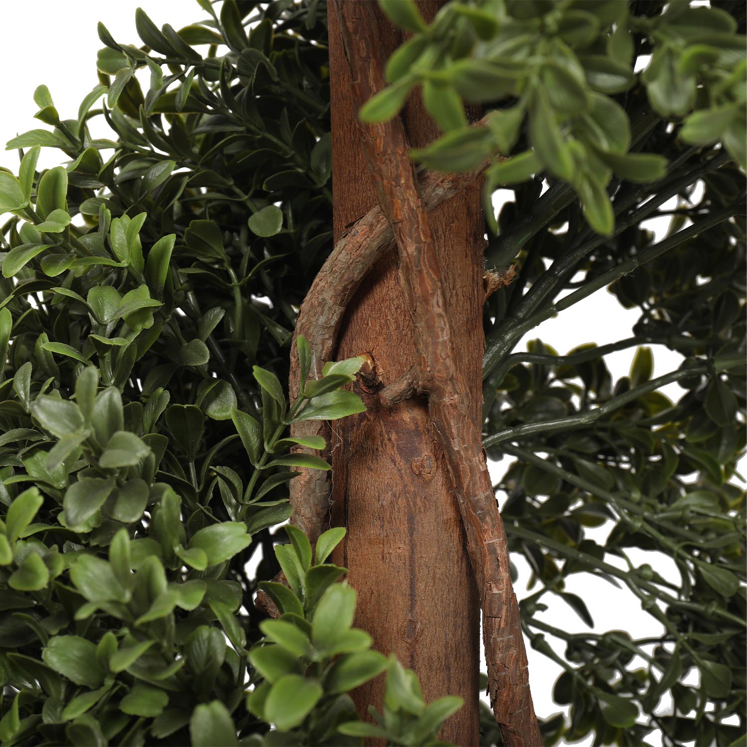 Outdoor buxus spiral tree - Image 3