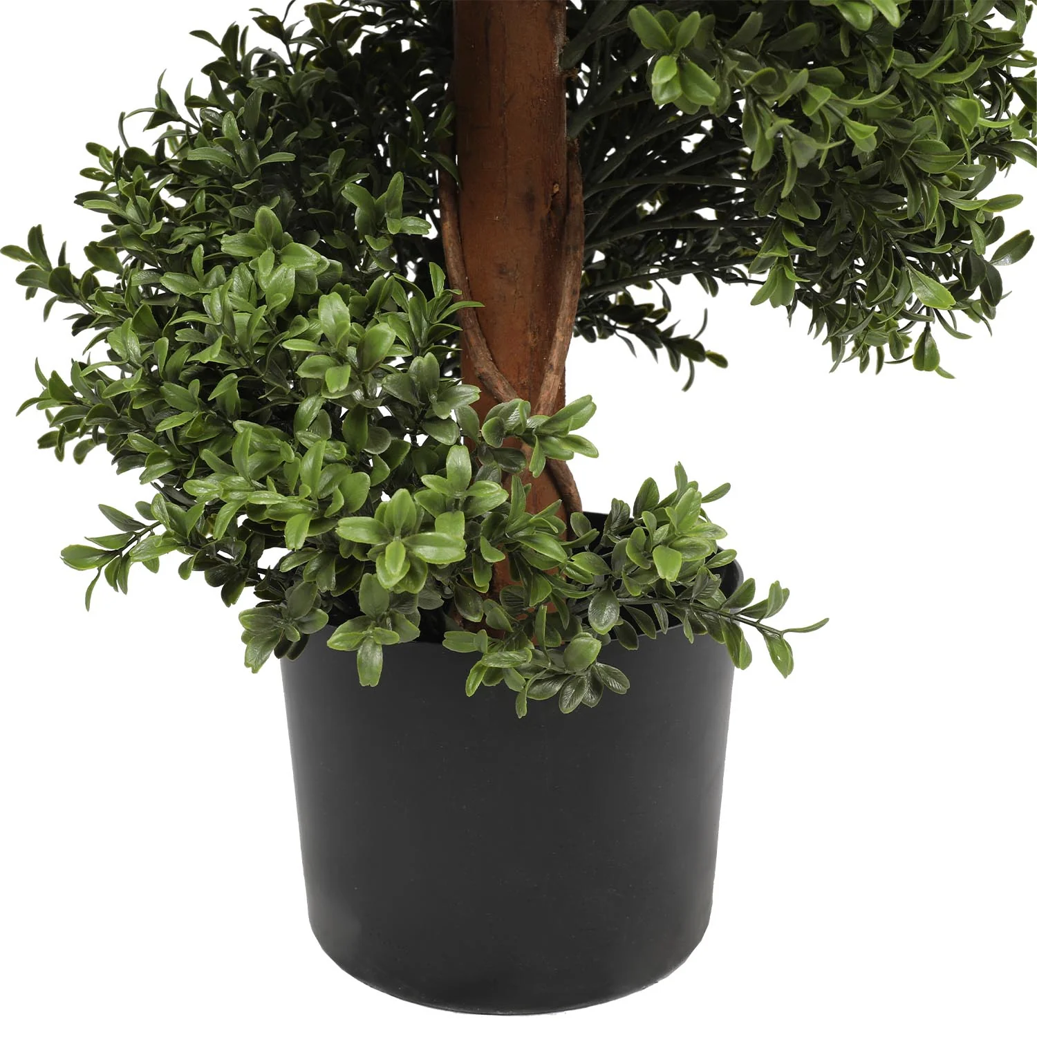 Outdoor buxus spiral tree - Image 4