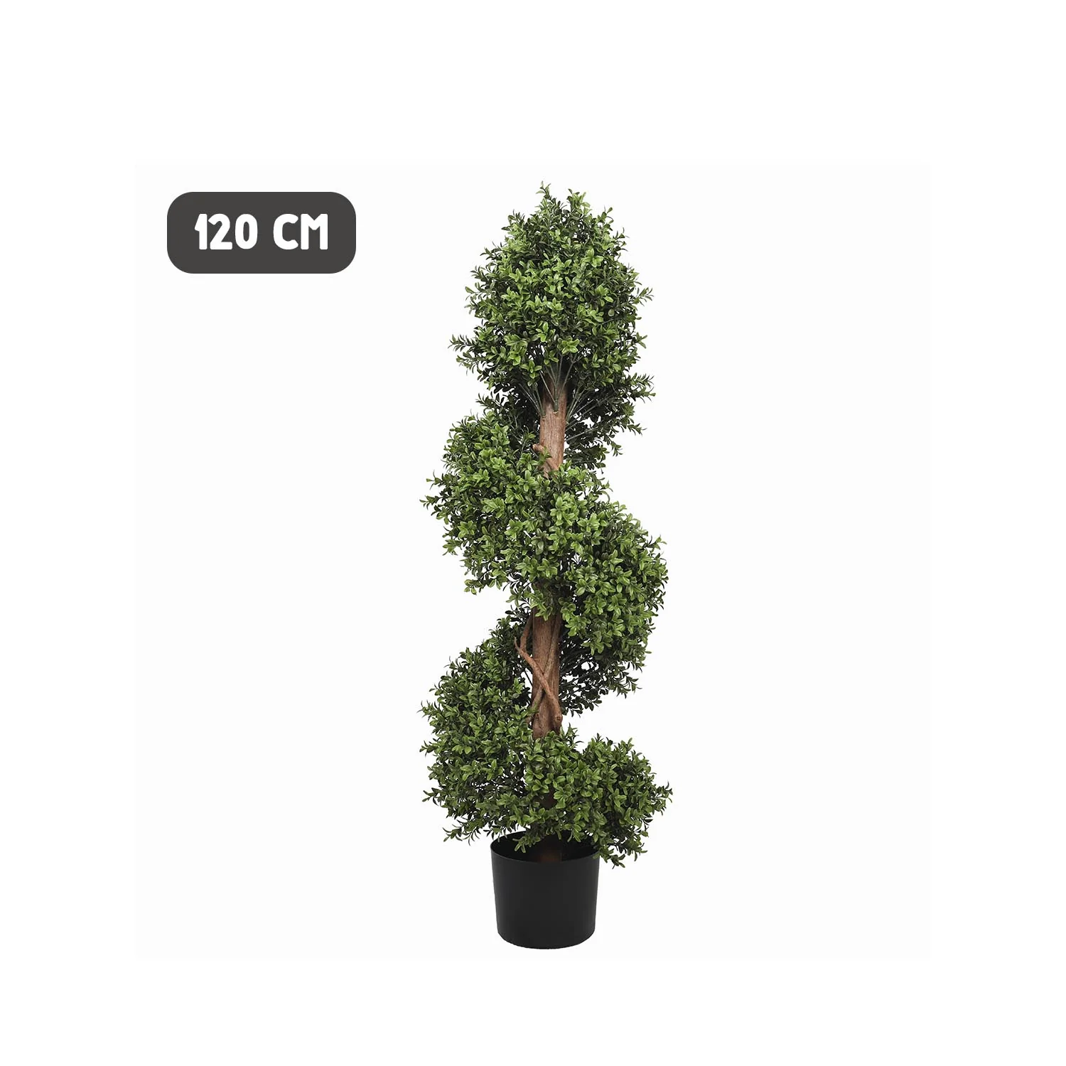Outdoor buxus spiral tree - Image 5