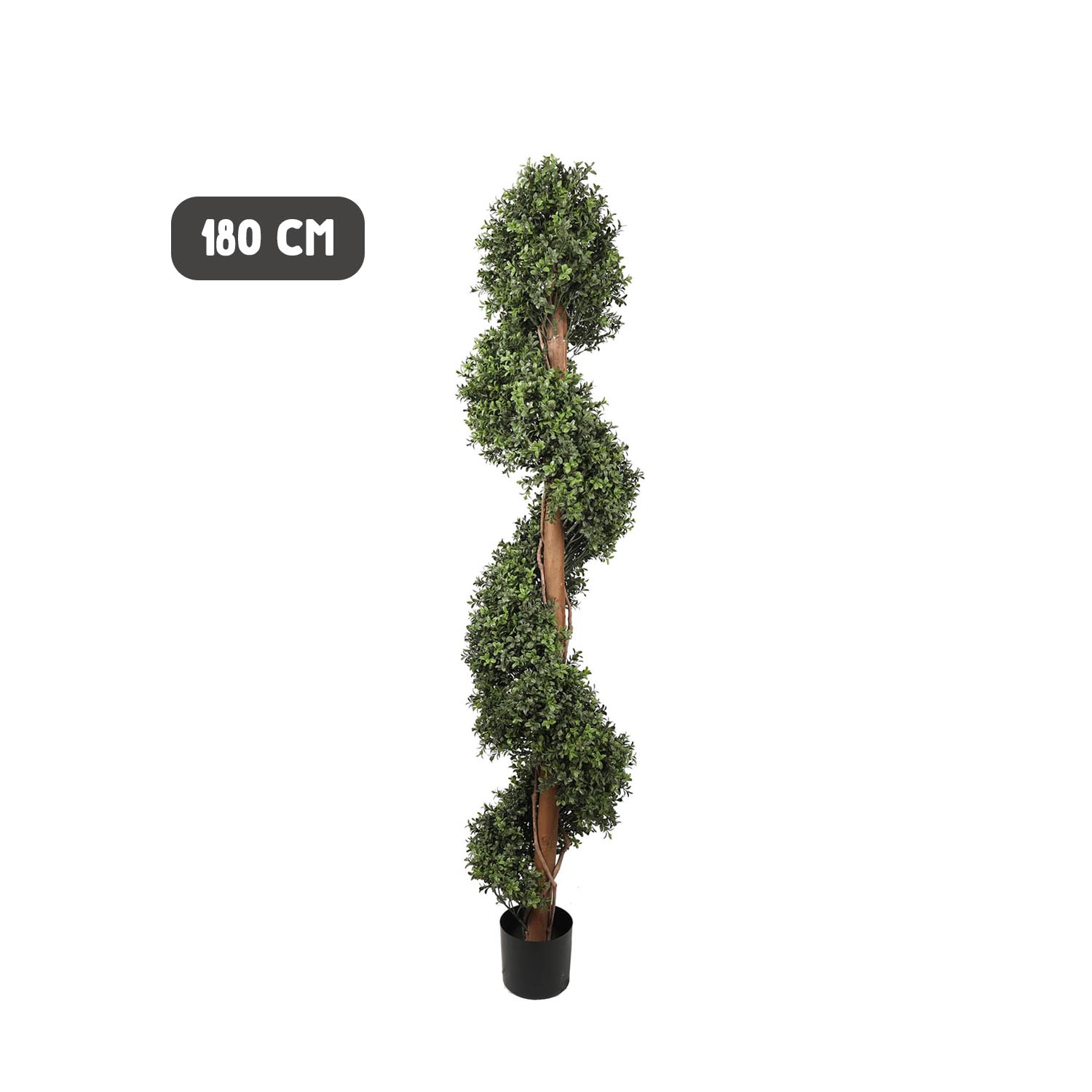 Outdoor buxus spiral tree - Image 7