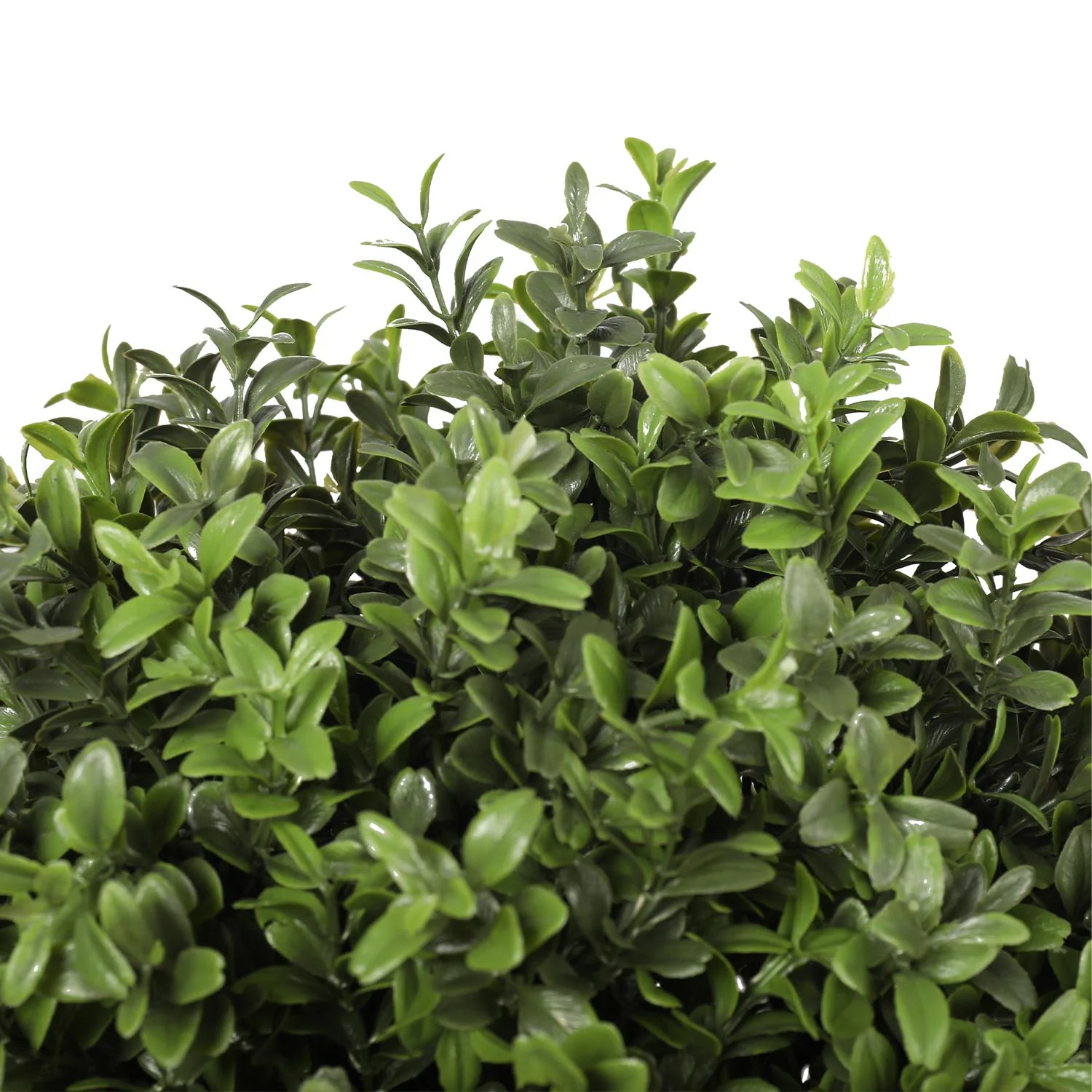 Outdoor buxus triple ball tree - Image 4