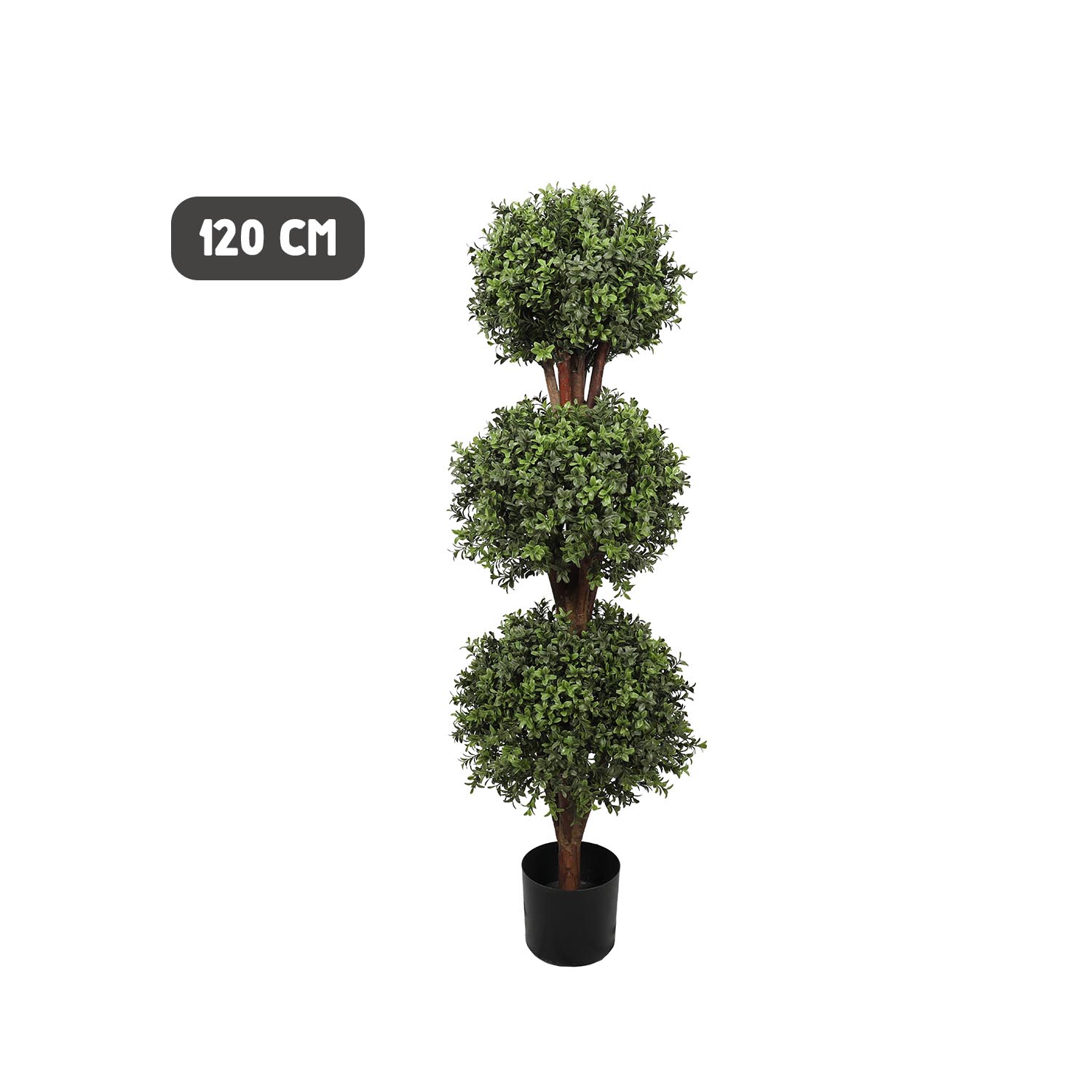 Outdoor buxus triple ball tree - Image 5