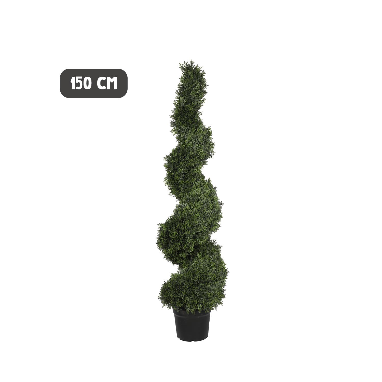 Outdoor conifer spiral tree - Image 6