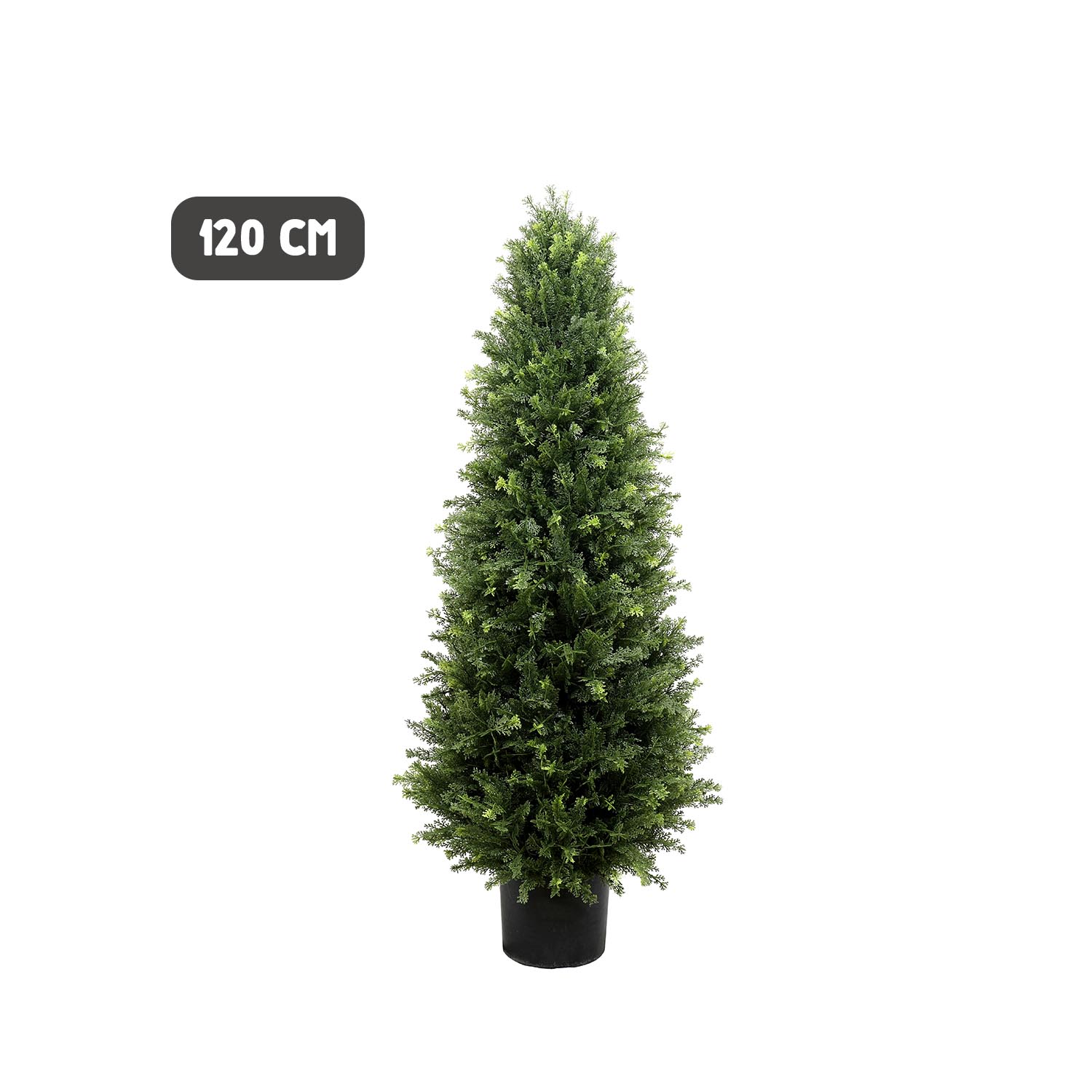Outdoor conifer tower tree - Image 4