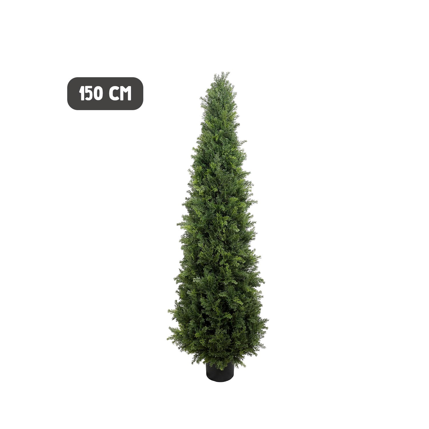 Outdoor conifer tower tree - Image 5