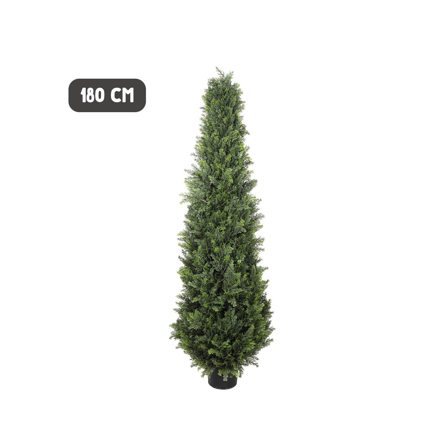 Outdoor conifer tower tree - Image 6