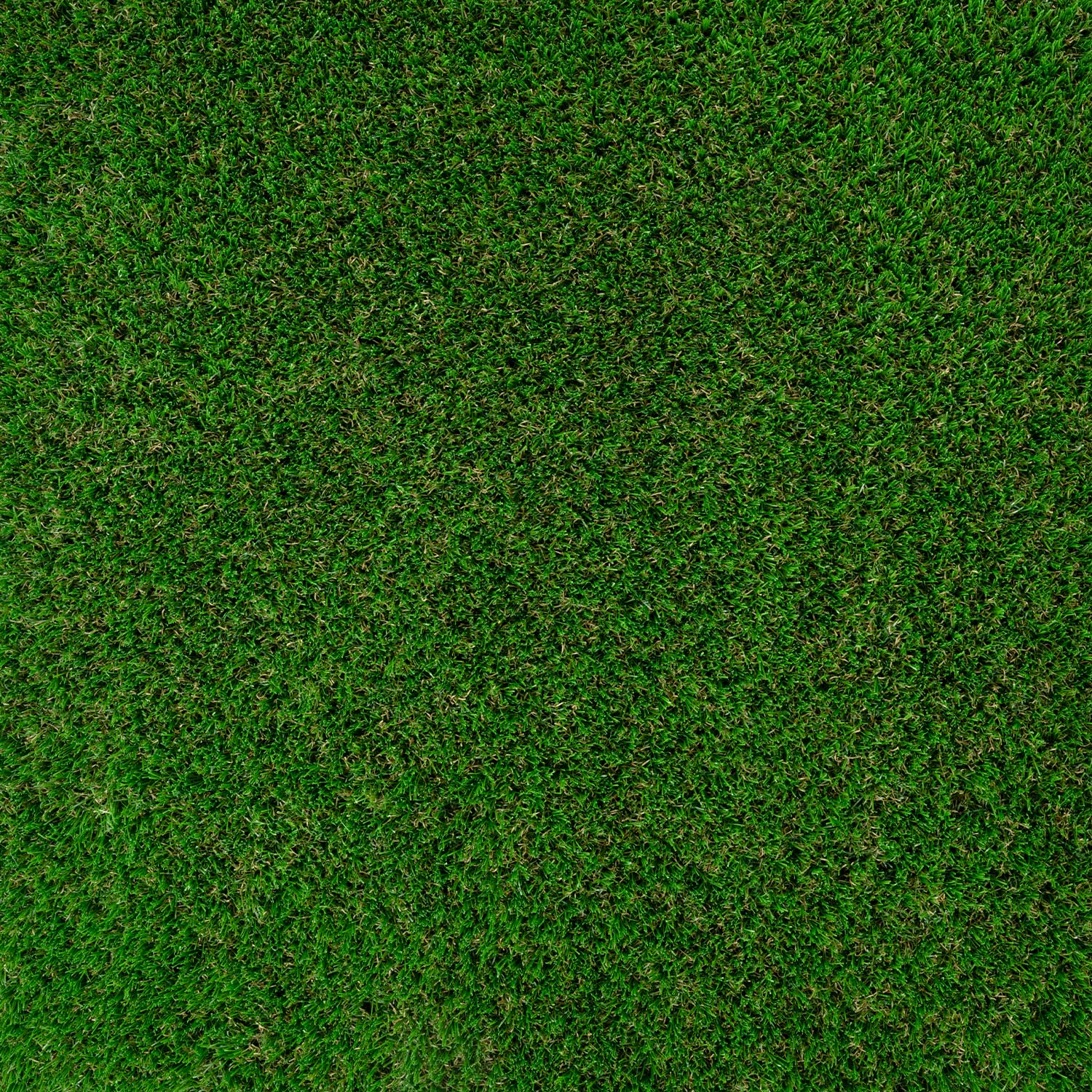 Hampden - Image 2