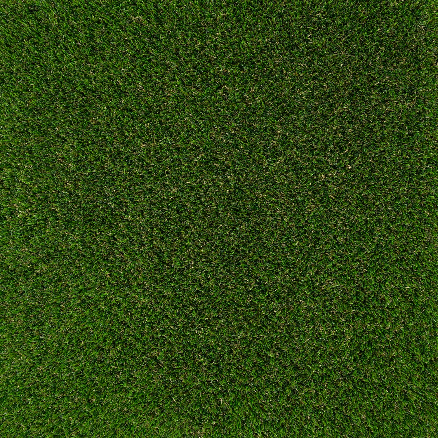 Lord's - Image 2