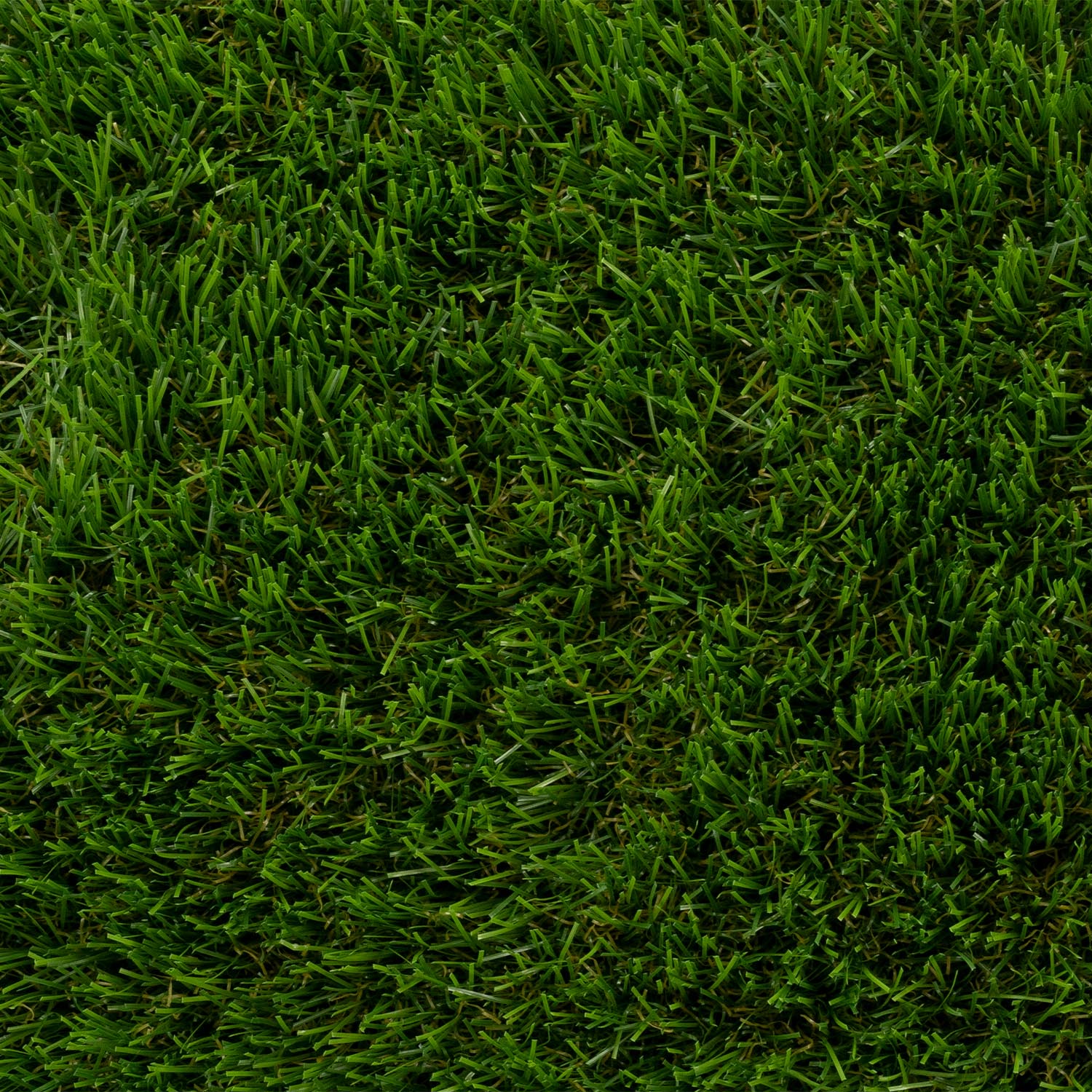Murrayfield - Image 2